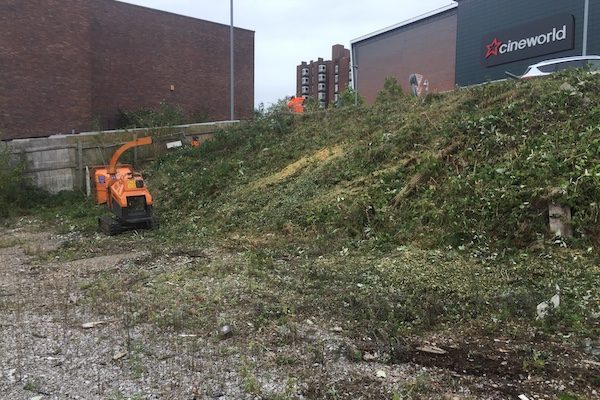 Site clearance of vegetation.