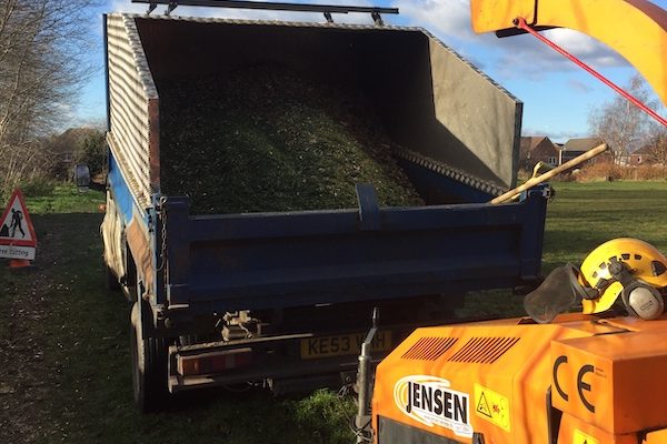 TREE SERVICES IN LIVERPOOL