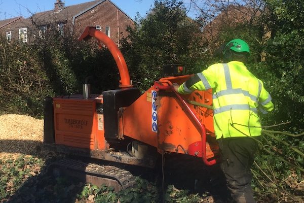 TREE SERVICES WIRRAL