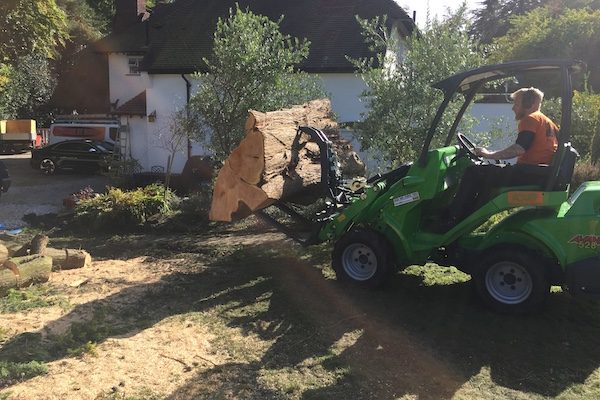 garden clearance.