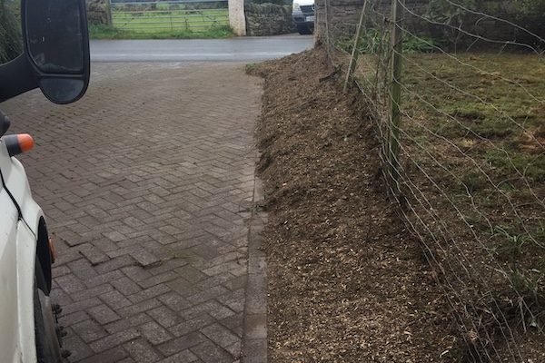 Stump grinding after