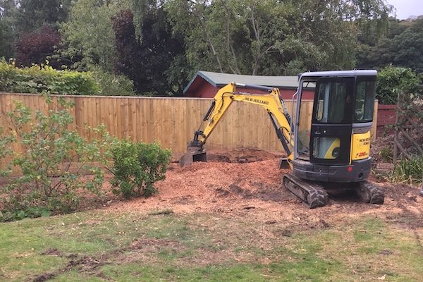 Stump removal and grinding in Chester