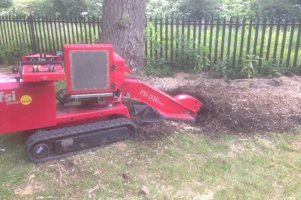 stump grinding services in Wirral, Chester, and Liverpool